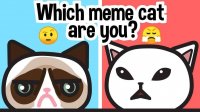 Mood Match Cat Finder