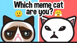 Mood Match Cat Finder