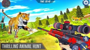 Serengeti Observation Challenge