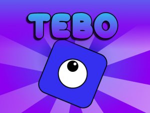 Tebo Online Puzzle Game
