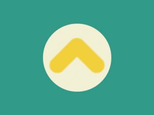 Collector Puzzle Game
