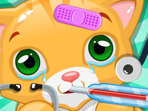 Cat Care Pet Vet Adventure