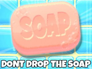 Dont Drop The Soap Online Arcade Game