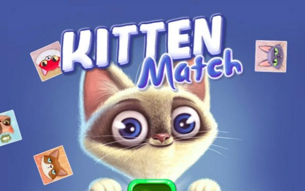 Cat Card Matching Adventure