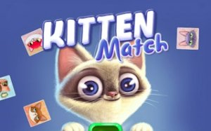 Cat Card Matching Adventure