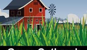 Flock Management Pasture Balance